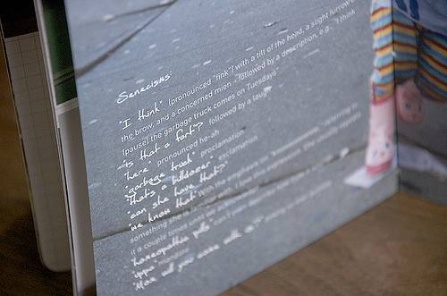 3328393953_5f7362271b good stock brooklyn memory journal | simple pretty