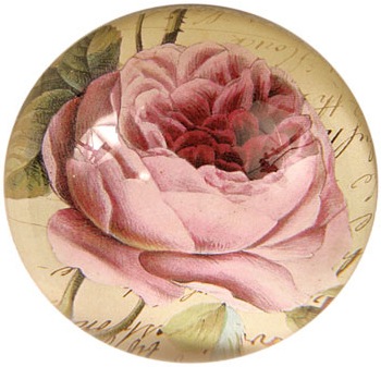 dome_camellia john derian camellia decoupage | simple pretty