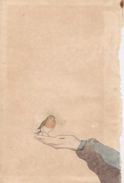 childlike wisdom robin postcard | simple pretty