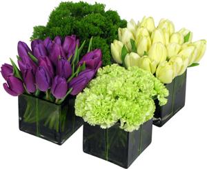 winston flowers early spring composite | simple pretty