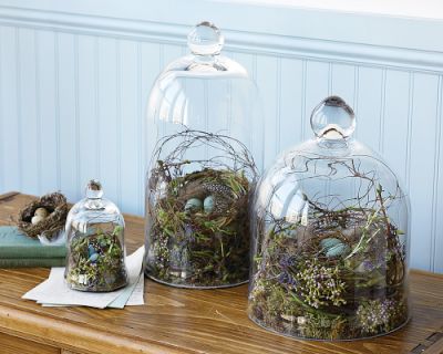 img95m williams-sonoma decorative cloches | simple pretty