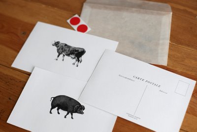 img_3992-753214 alana davis animal postcards | simple pretty