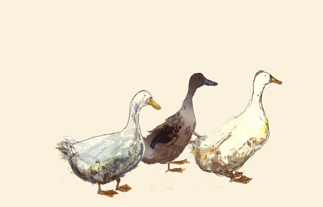 lacey-maeve-and-maude catherine rayner lacey maeve and maude illustration | simple pretty