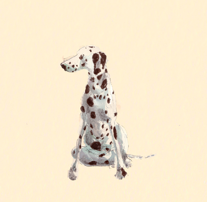 marbles catherine rayner marbles illustration | simple pretty