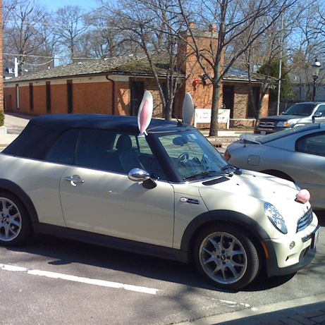 3424142143_16695b98f21 mini cooper with bunny ears, downtown lake bluff | simple pretty