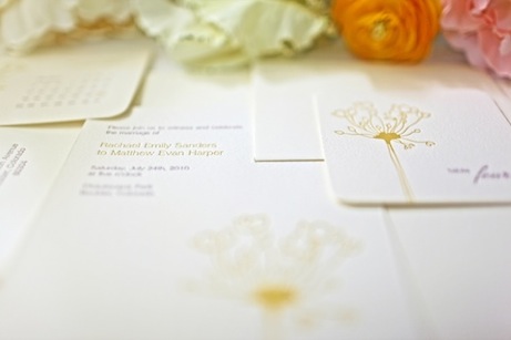 satsuma press wedding collection, allium suite | simple pretty