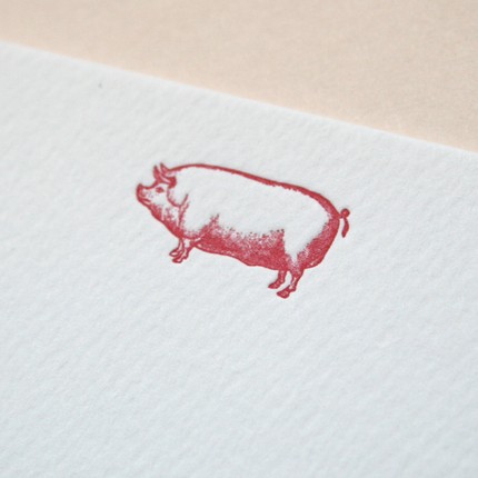 a day in may pig notecards | simple pretty