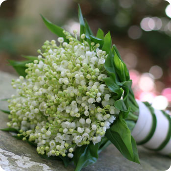 lilies of the valley bouquet, out of hand | simple pretty