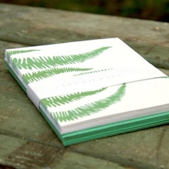 red bird ink oh little fern; set of six folded cards | simple pretty