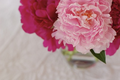 3612650588_4d297bb551 peony bouquet on matelassé | simple pretty
