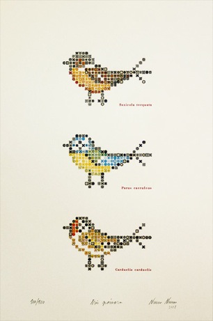 serrote three birds print (five-color letterpress) | simple pretty