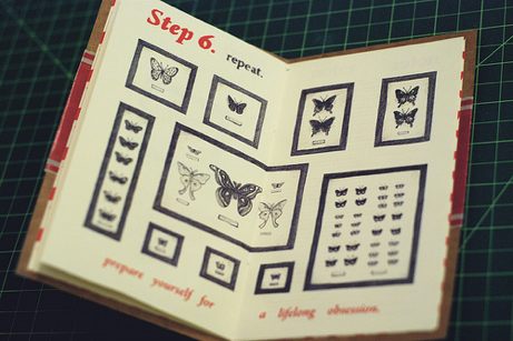 sara wood illustration from "becoming a lepidopterist" | simple pretty