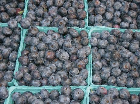 green city market blueberries | simple pretty