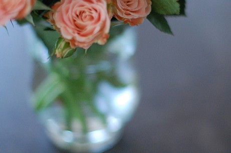 3766770978_4222df6cc9 simple rose bouquet in vase | simple pretty