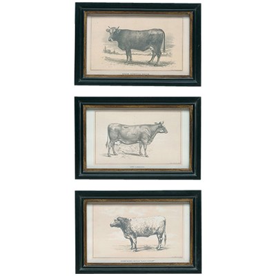 cowprints cow prints at nell hill's | simple pretty