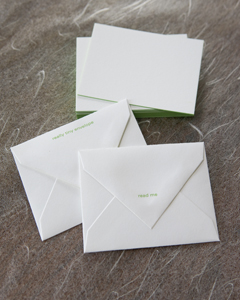 bari zaki 'dainty dozen' notecards | simple pretty