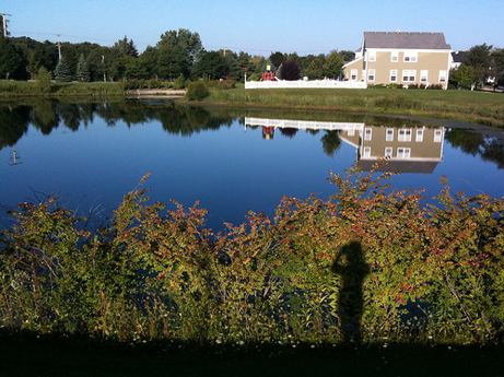 autumn view in centennial crossing, 2009 | simple pretty