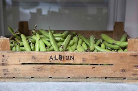 albion vegetable crate | simple pretty