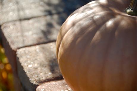 pumpkin on lasalle street front steps | simple pretty