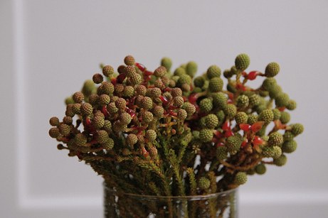 berzellia bouquet from twigs, lake bluff | simple pretty