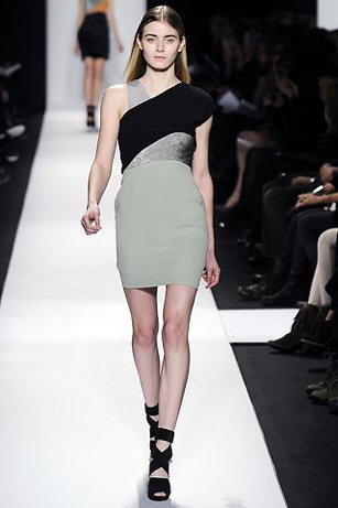narciso rodriguez fall 2010 | simple pretty