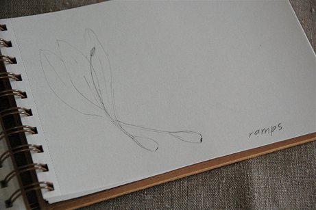 ramps sketch in pencil | simple pretty