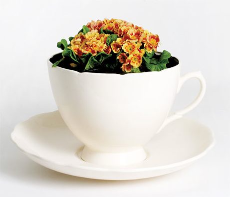 plantcup oversized plant cup by gitta gschwendtner | simple pretty