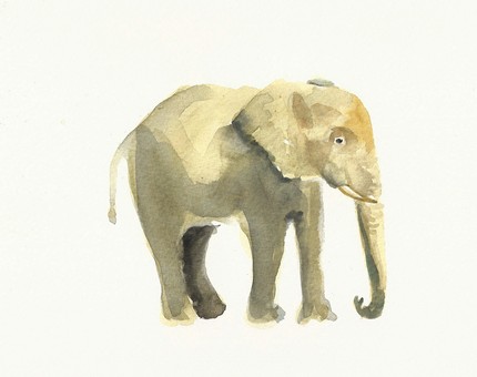 dimdielephant elephant watercolor by dimdi | simple pretty