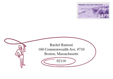 pierlionpostcard pier gustafson rsvp card | simple pretty