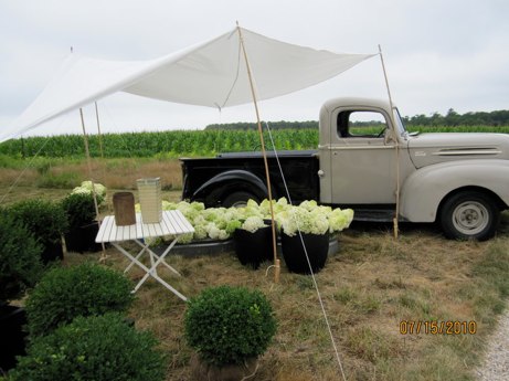 newgeneral2010b the new general store summer 2010 event | simple pretty