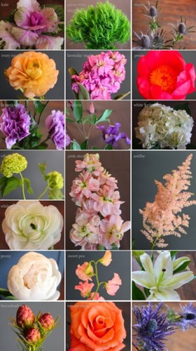 sprucecooler spruce flowers, minneapolis | simple pretty