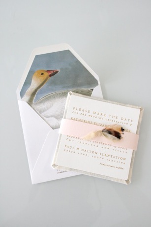 sideshowaudubon sideshow press save-the-dates with audubon liners | simple pretty
