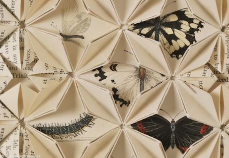 fpbutterflies2 francisca prieto, between the folds/butterflies | simple pretty