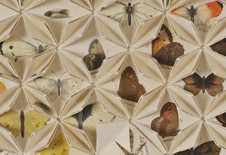 fpbutterflies3 francisca prieto, between the folds/butterflies | simple pretty