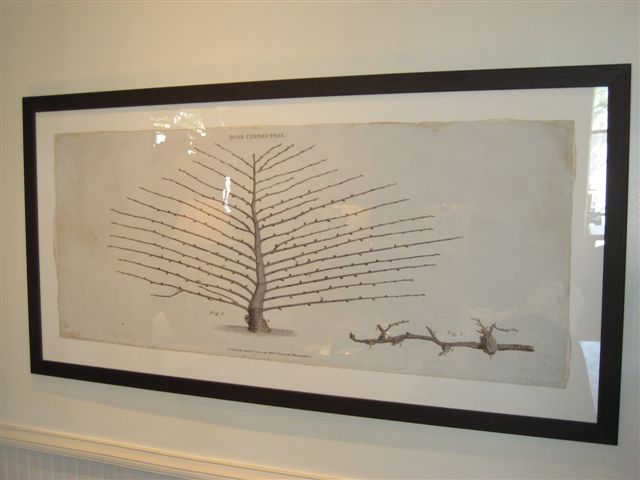 mecox_espalier taccani espalier print at mecox gardens | simple pretty