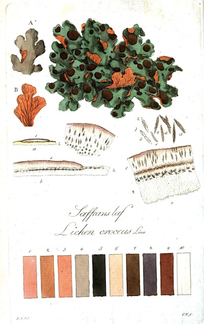 vp_botanical5 botanical 5 from vintage printable | simple pretty