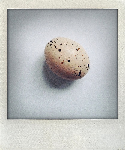 04172013 speckled egg | simple pretty
