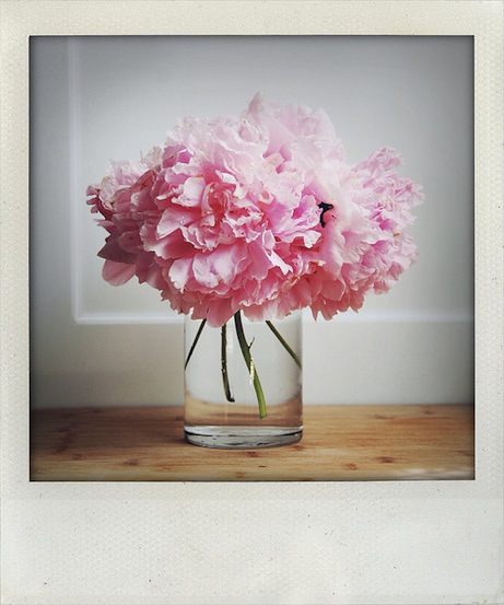 thisisit lasalle street: vase of peonies | simple pretty