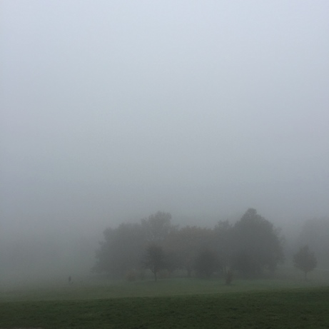 london fog (primrose hill) november 2015: jane potrykus | simple pretty