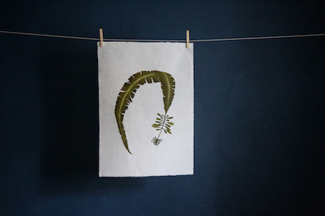 superfolk 'atlantic wakame' print | simple pretty