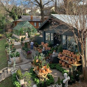 shoppe, birmingham | simple pretty