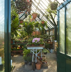 shoppe, birmingham | simple pretty